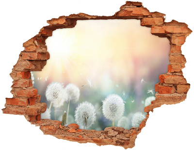 Hole wall sticker The floral world behind the hole