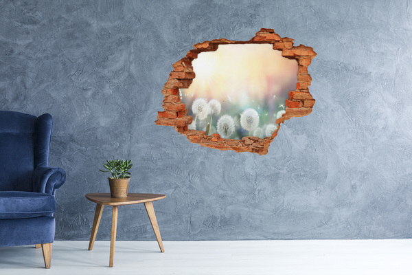 Hole wall sticker The floral world behind the hole