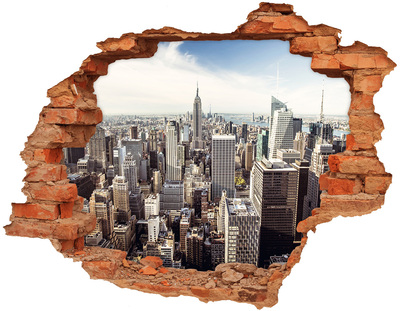 3D wall hole View of New York