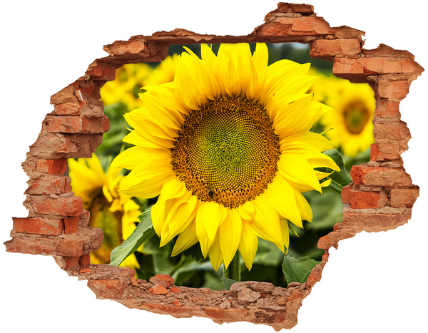 3D wall hole wallpaper Sunflower field