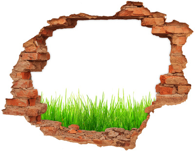 3D wall hole wallpaper brick hole grass