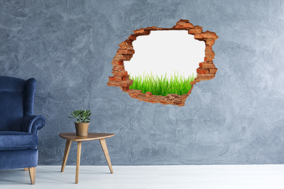 3D wall hole wallpaper A green meadow behind the wall