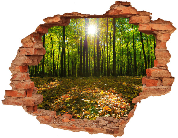 Hole in the wall decal A forest oasis in the sunshine