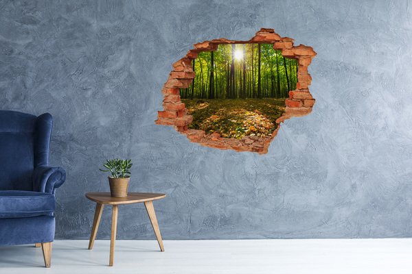 Hole in the wall decal A forest oasis in the sunshine