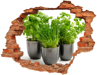 Hole in the wall decal Herbs in pots