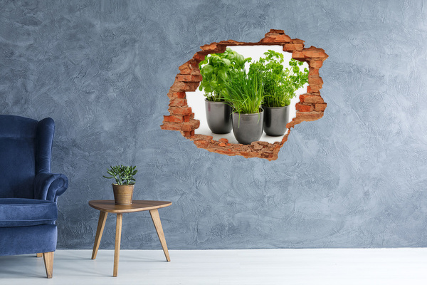 Hole in the wall decal Green garden in pots