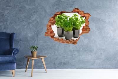 Hole in the wall decal Herbs in pots