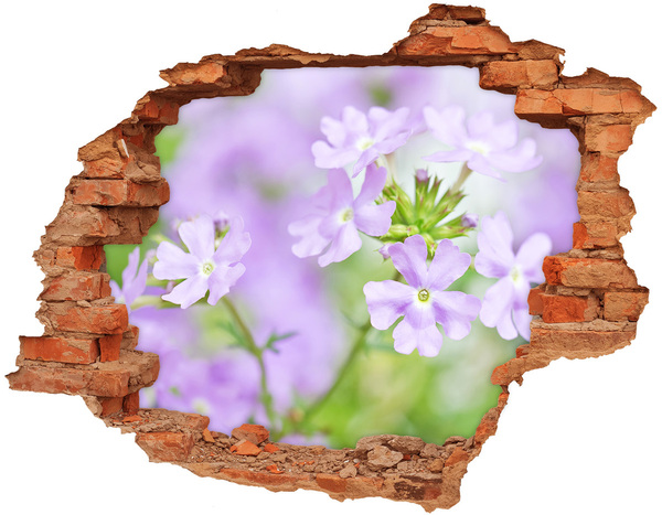 3D wall hole A flower paradise behind the wall