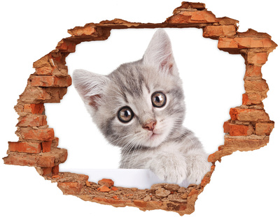 Hole wall sticker Gray cat