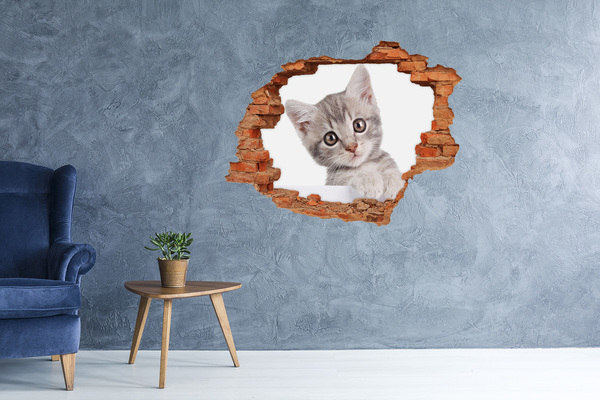 Hole wall sticker Kitten in a hole in the wall