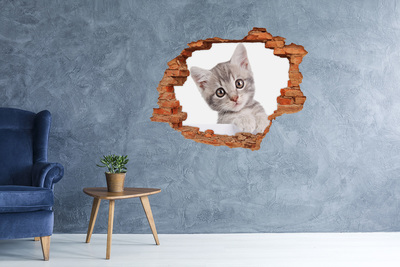 Hole wall sticker Gray cat