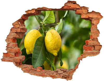 3D wall hole Lemons on a tree