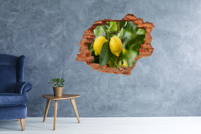 3D wall hole Lemons on a tree