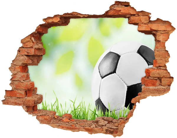 3D wall hole Football dreams