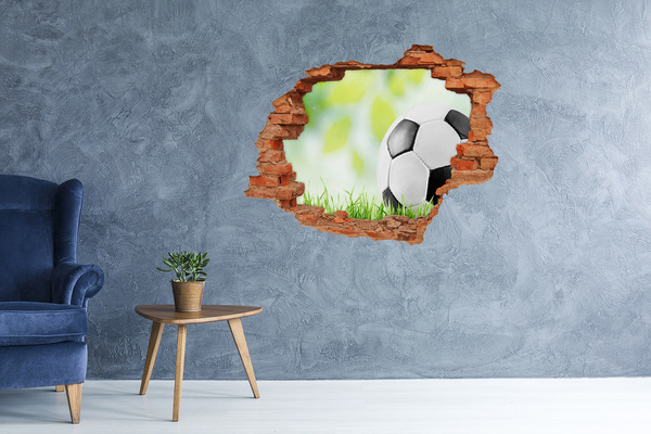 3D wall hole Football