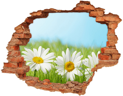 Hole wall sticker Flowers in a green meadow