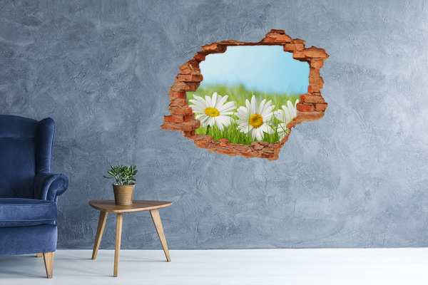 Hole wall sticker Flowers in a green meadow