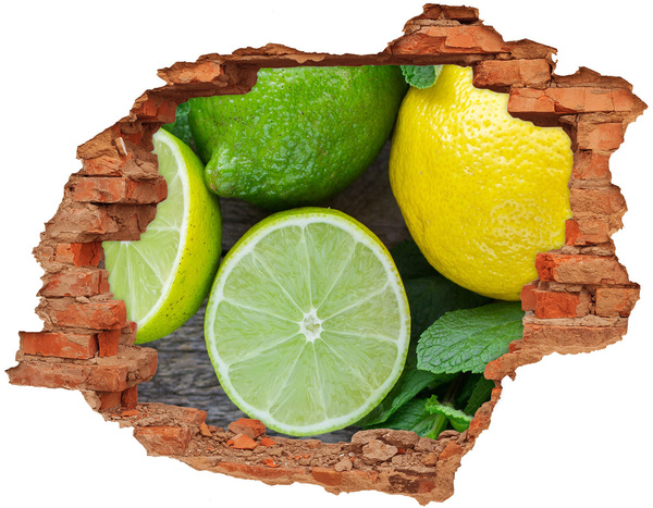 Hole in the wall decal Fresh citrus fruits in concrete