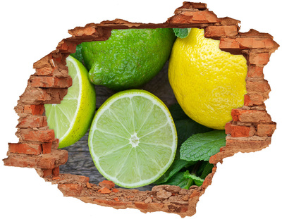 Hole in the wall decal Fresh citrus fruits in concrete