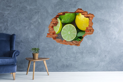 Hole in the wall decal Fresh citrus fruits in concrete