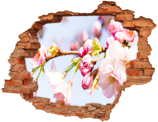 Hole in the wall decal Cherry blossoms in spring