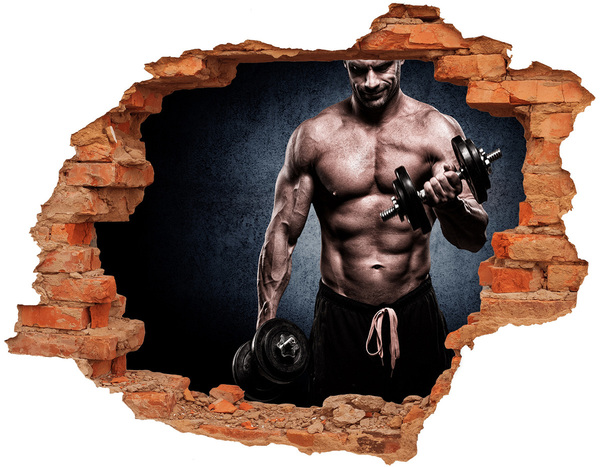 Hole in the wall sticker Muscle structure