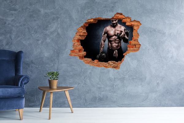 Hole in the wall sticker Muscle structure