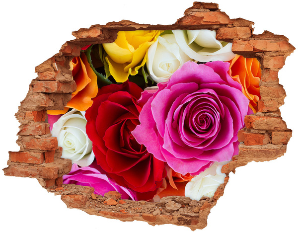 Hole in the wall decal Colorful roses