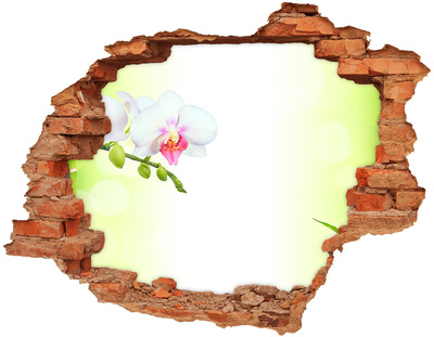 Hole wall sticker Orchid flowers in the bamboo garden