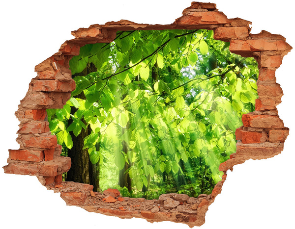 Hole in the wall decal Green forest in the sun's rays