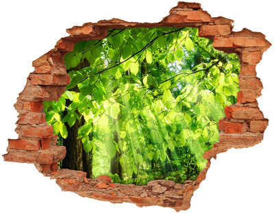 Hole in the wall decal Green forest in the sun's rays