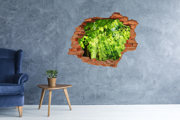 Hole in the wall decal Green forest in the sun's rays