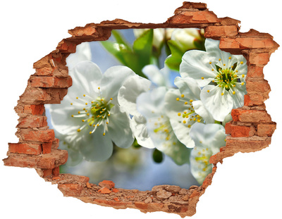 Hole in the wall sticker A flower paradise behind the wall