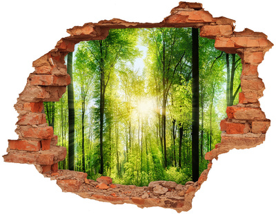 Hole in the wall sticker Green forest with sun rays
