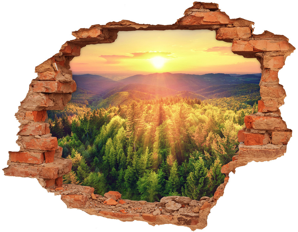 Hole wall sticker West forest