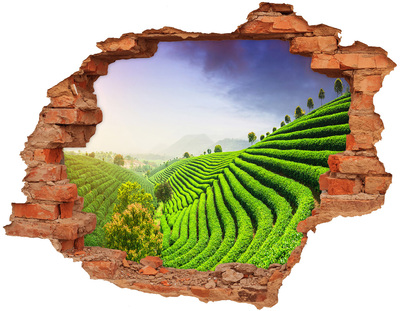 Hole in the wall decal Green tea terraces