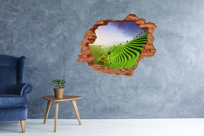 Hole in the wall decal Green tea terraces