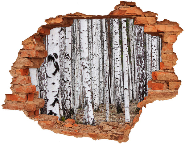 Hole wall sticker Forest Oasis of White Birches