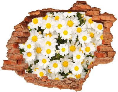 3D wall hole A floral oasis in concrete