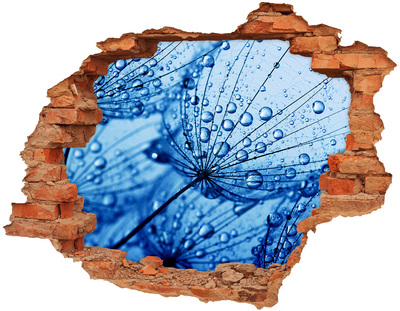 Hole in the wall decal Drops of water on a delicate flower