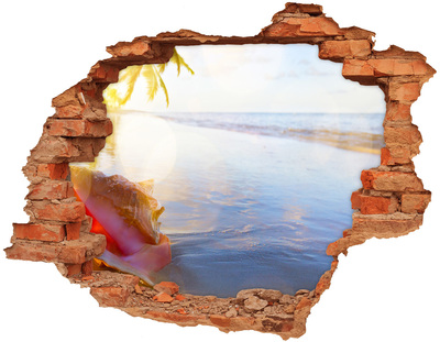 Hole in the wall sticker Tropical beach with shells