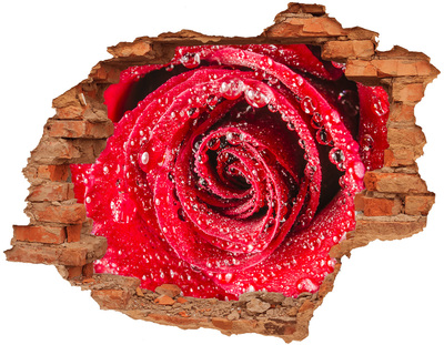 Hole in the wall sticker Rose with water drops