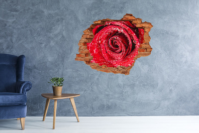 Hole in the wall sticker Rose with water drops