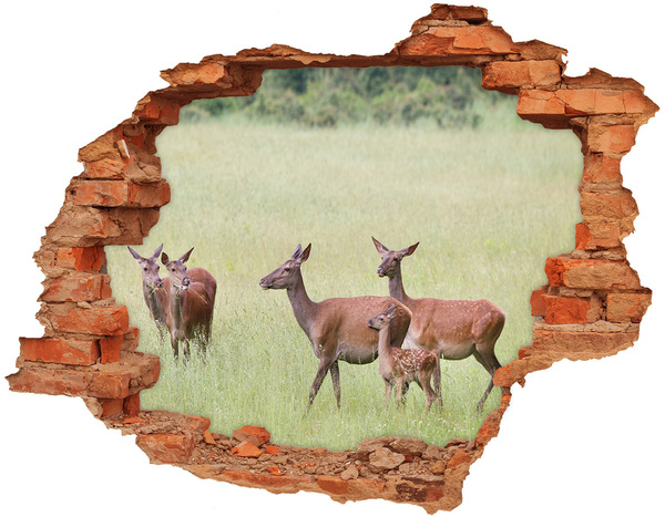 Hole in the wall sticker A roe deer and her young in the wild