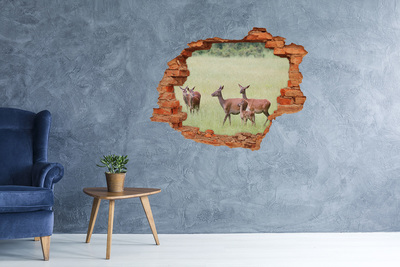Hole in the wall sticker A roe deer and her young in the wild