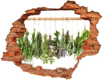 Hole in the wall sticker Herbs on a string