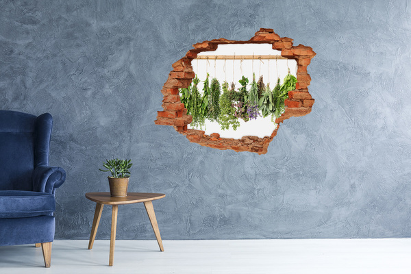 Hole in the wall sticker Herbs on a string