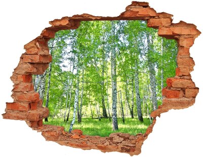 Hole in the wall decal Birch