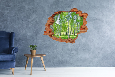 Hole in the wall decal Birch