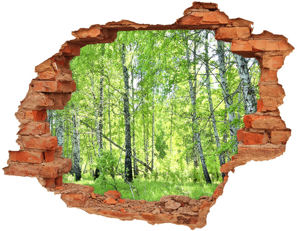 3D wall hole Green forest in the sunlight